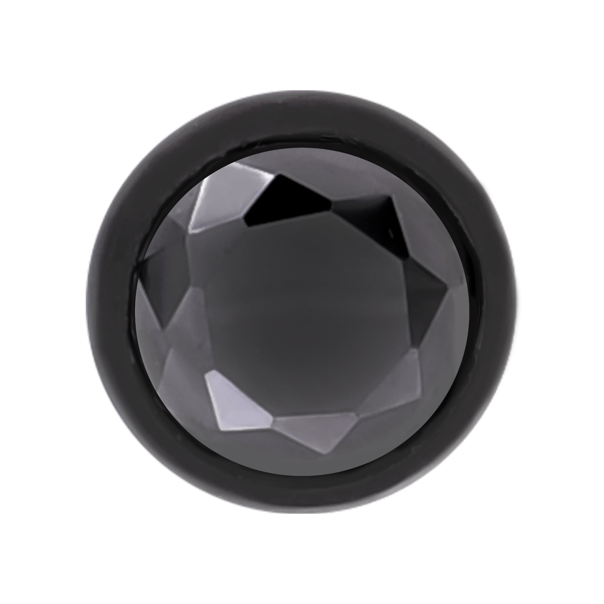 Truelements レディースピアス ブラック 5mm ジルコニア サージカルステンレス フロントビュー 316L 両耳用 (TEEST-0096 BK) 2個売り