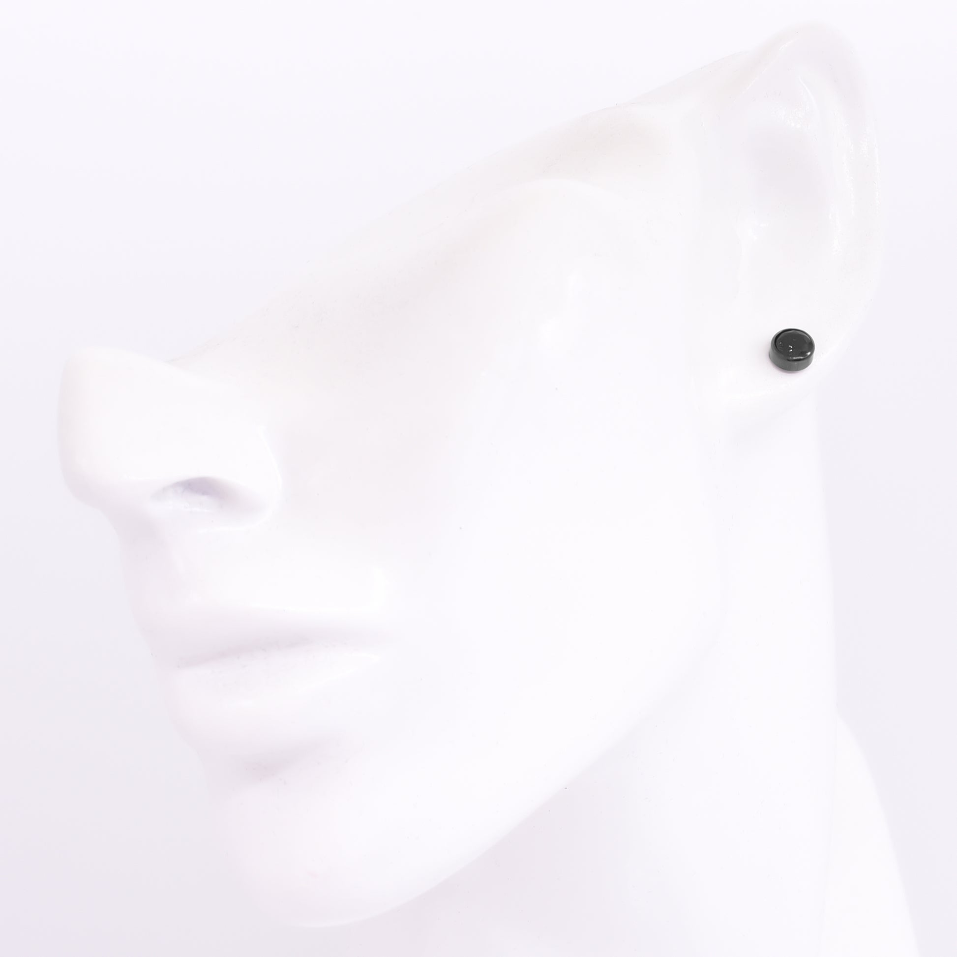 Truelements メンズピアス ブラック 5mm ジルコニア サージカルステンレス 着用イメージ 316L 片耳用 (TEEST-0096 BK) 1個売り