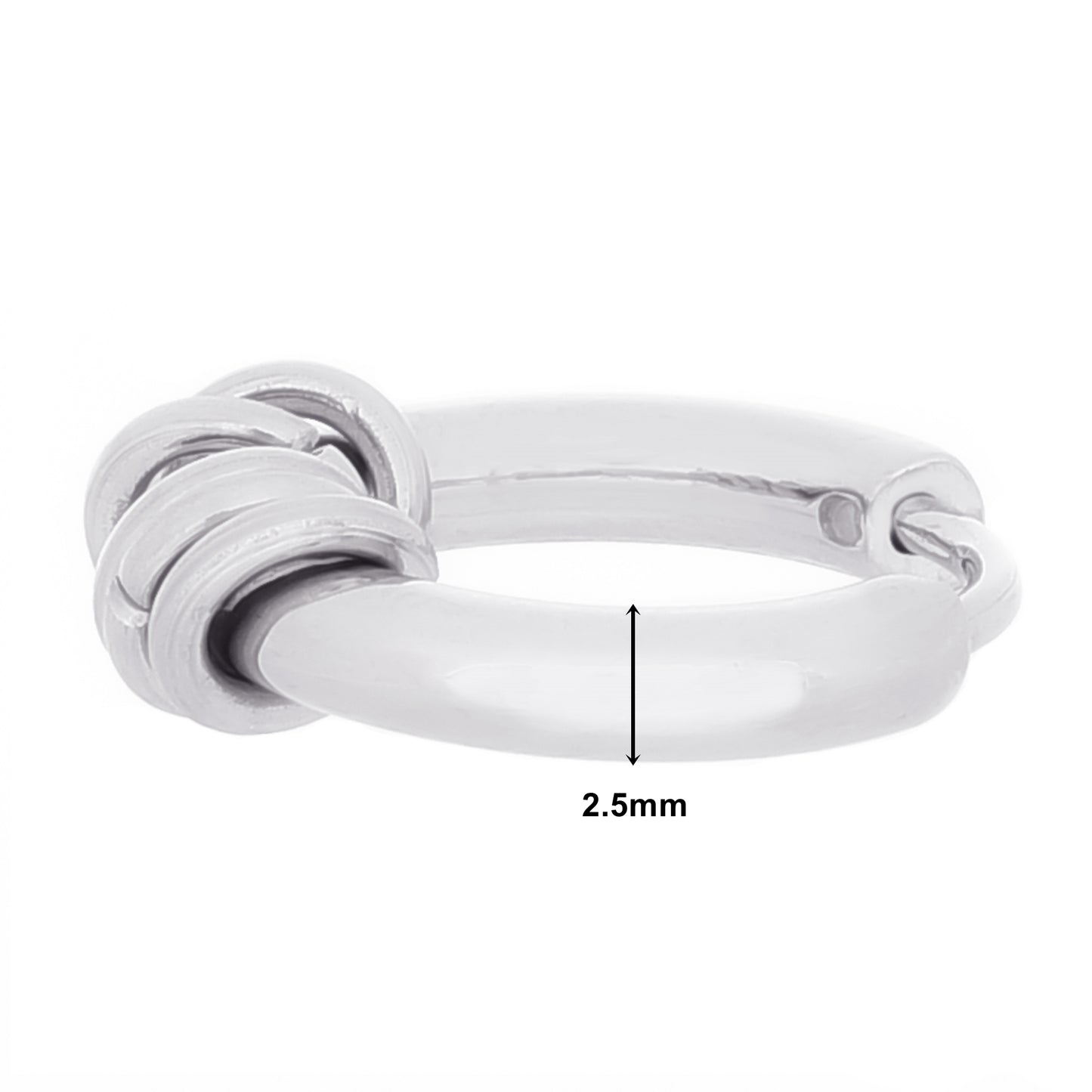 Truelements メンズフープピアス サイズ情報 幅2.5mm 直径15mm 厚み2.5mm ポスト太さ1mm サージカルステンレス