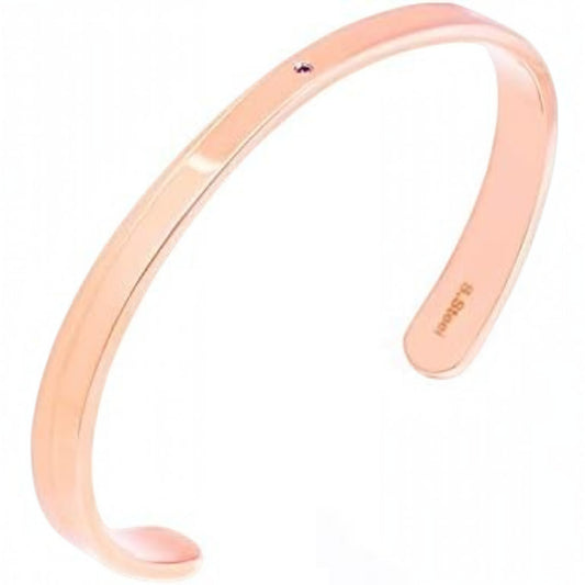 Truelements Jewelry pink gold 316L surgical stainless steel bangle featuring a small natural ruby accent