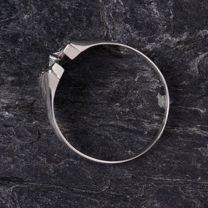 蹄鉄 星 指輪 メンズ 幸運 ホースシュー スター リング 馬蹄 シルバー 925 ジルコニア、サイドイメージ